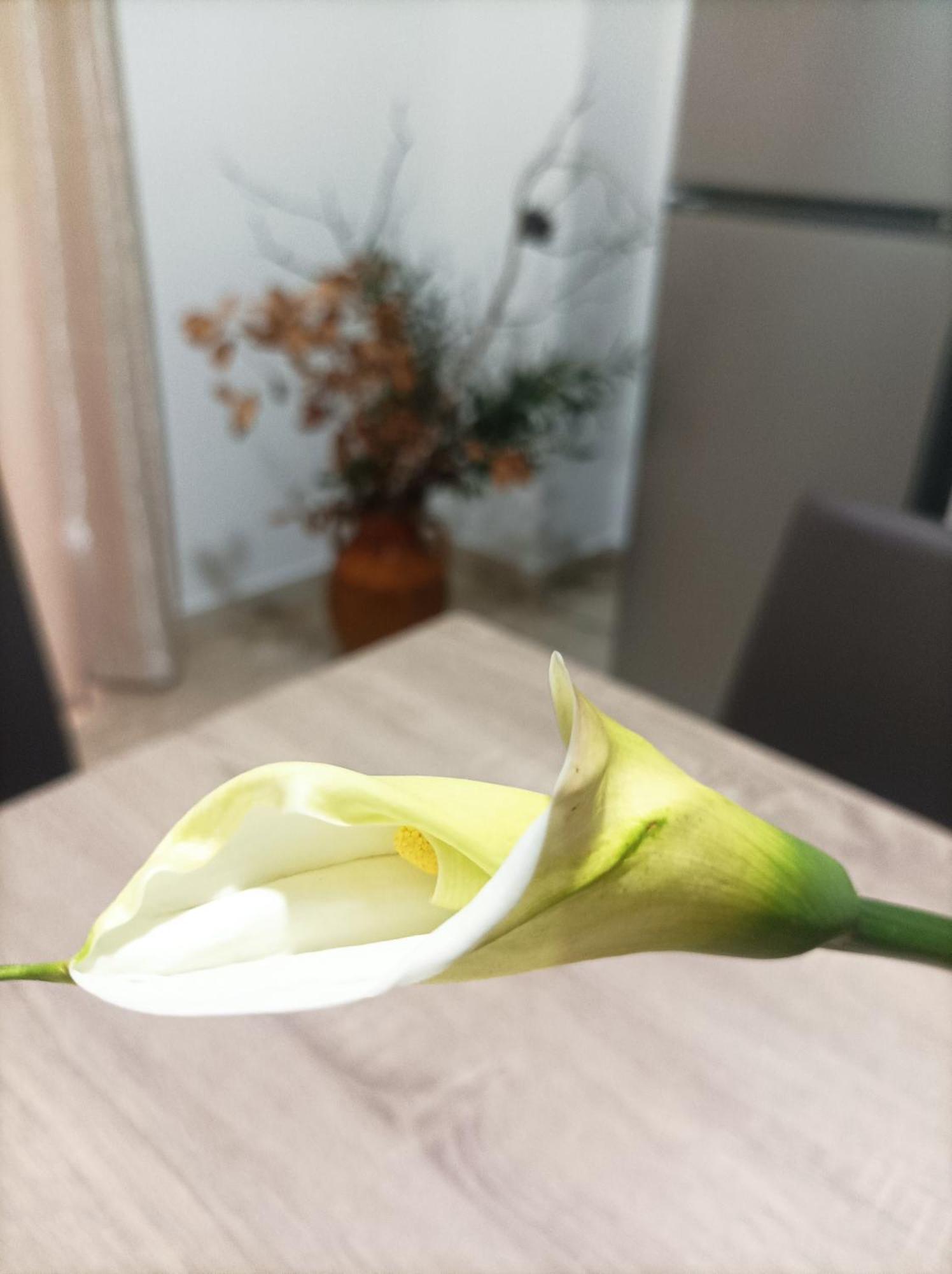 L'Ulivo Apartman Massafra Kültér fotó